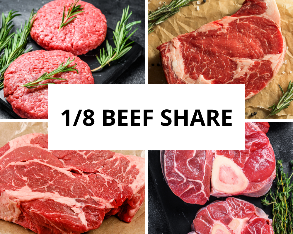 1/8 Beef Share