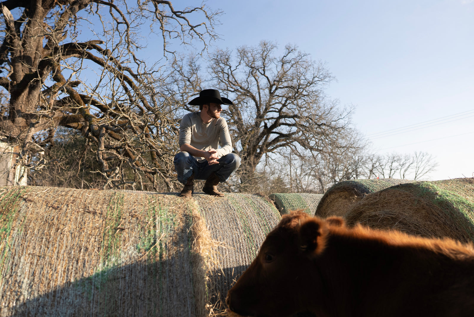 Cosgray Grass-Fed Beef