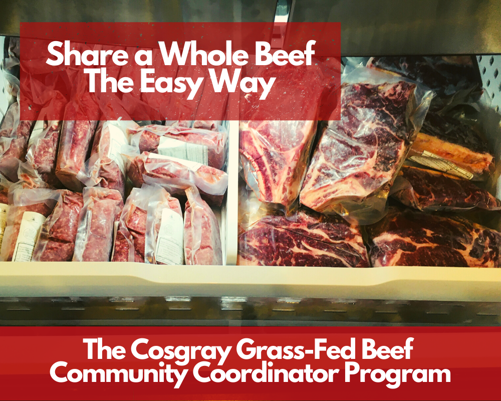 Whole Beef Community Coordinator